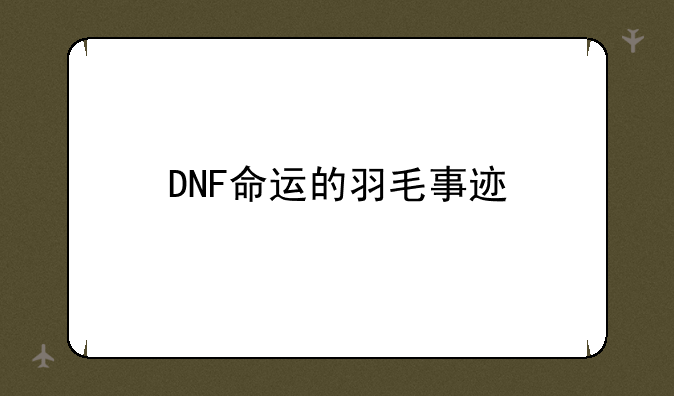 DNF命运的羽毛事迹