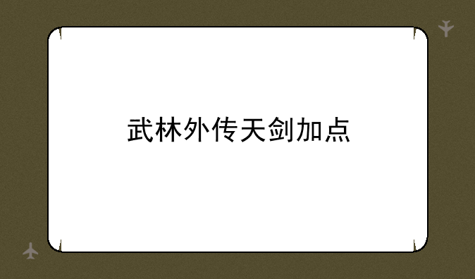 武林外传天剑加点