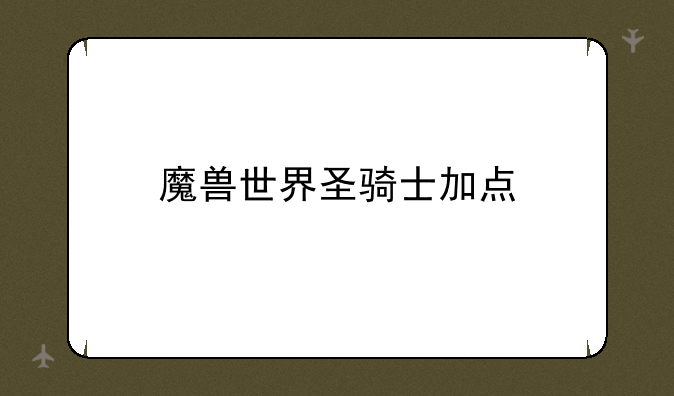 魔兽世界圣骑士加点