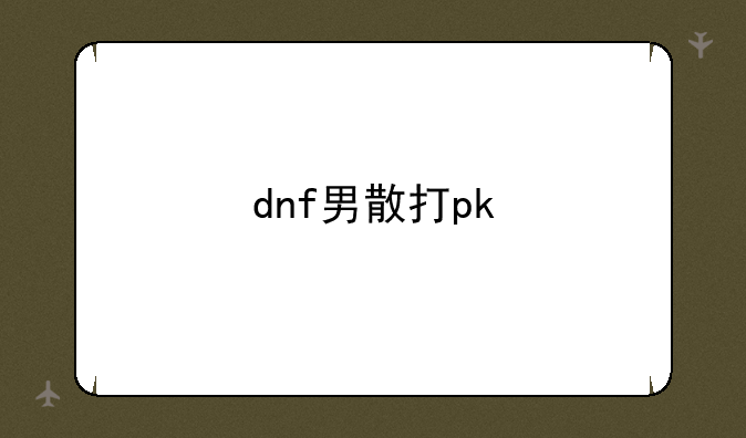 dnf男散打pk